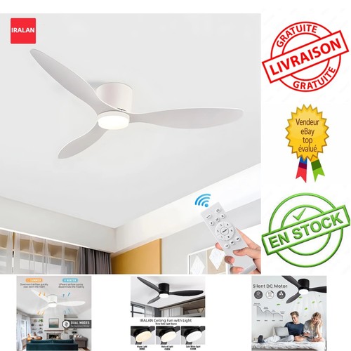 Ventilateur plafond silencieux - ventilateur,